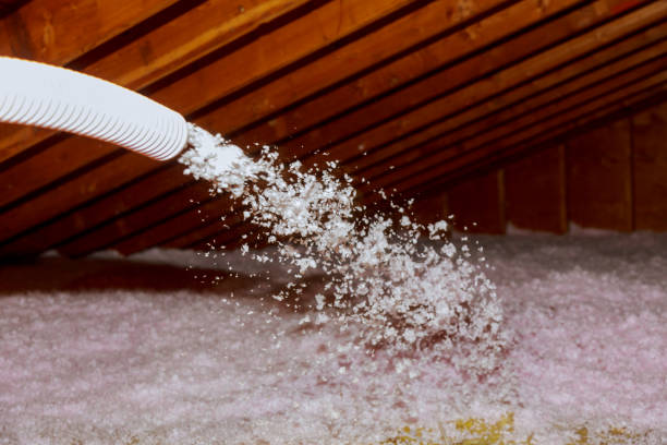 Best Spray Foam Insulation  in Grandy, NC
