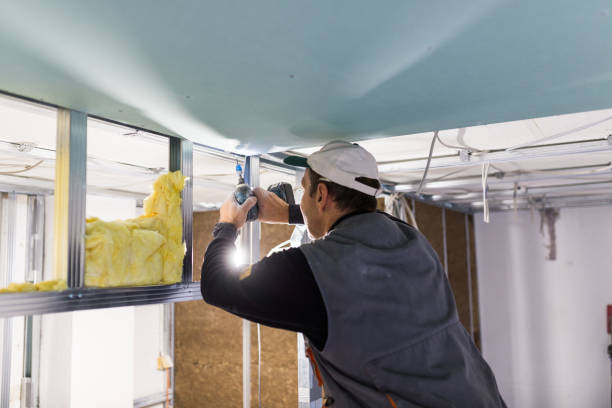 Best Insulation Removal  in Grandy, NC