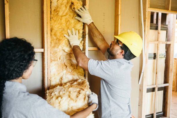 Best Insulation for New Construction  in Grandy, NC